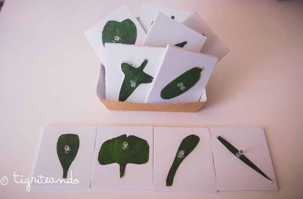 Gabinete de botanica DIY