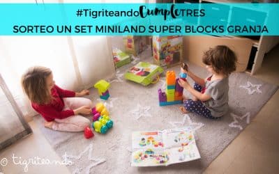 Super Blocks de Miniland