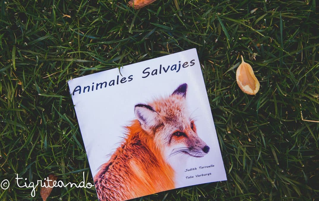 Libros de imagenes reales Slow Montessori