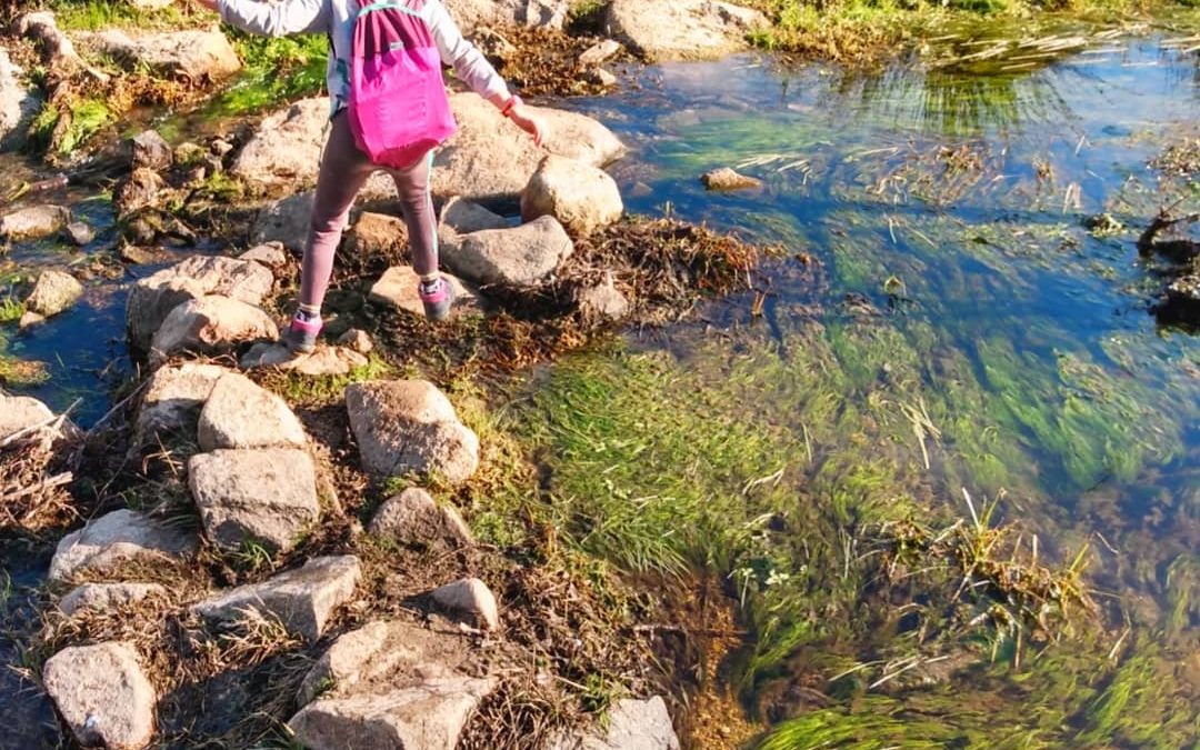 La naturaleza es el mejor ambiente preparado